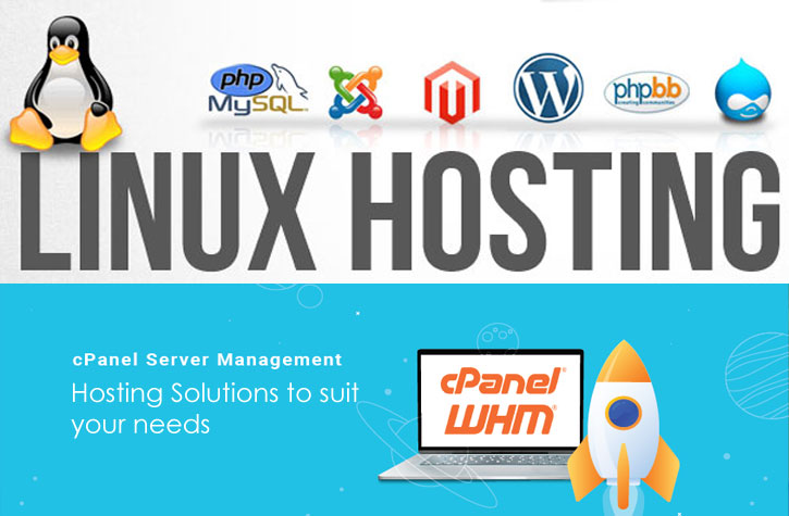 Web leher is best linux hosting provier in moaradbad